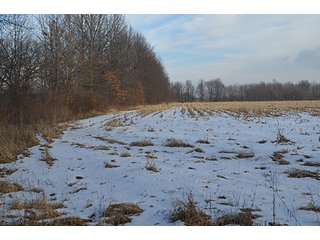 Property photo 12 - FARMLAND AUCTION, 60+/- Acres in 6 Tracts ranging from 4 to 20 acres & in combinations!